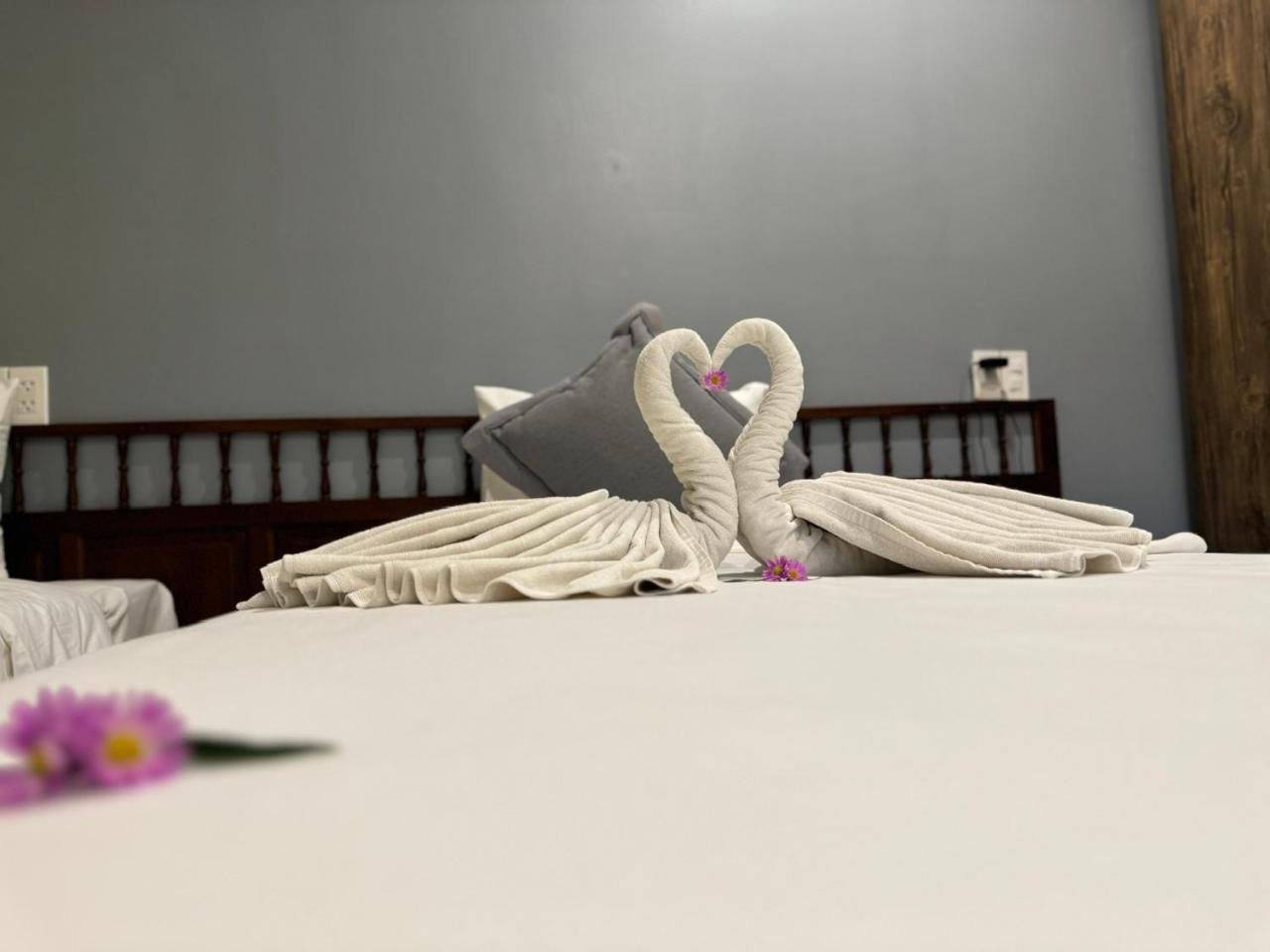 Hoianan Boutique Hotel 会安 外观 照片